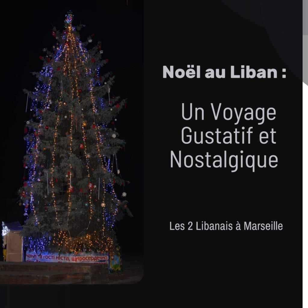 noel au liban avec les 2 libanais à marseille